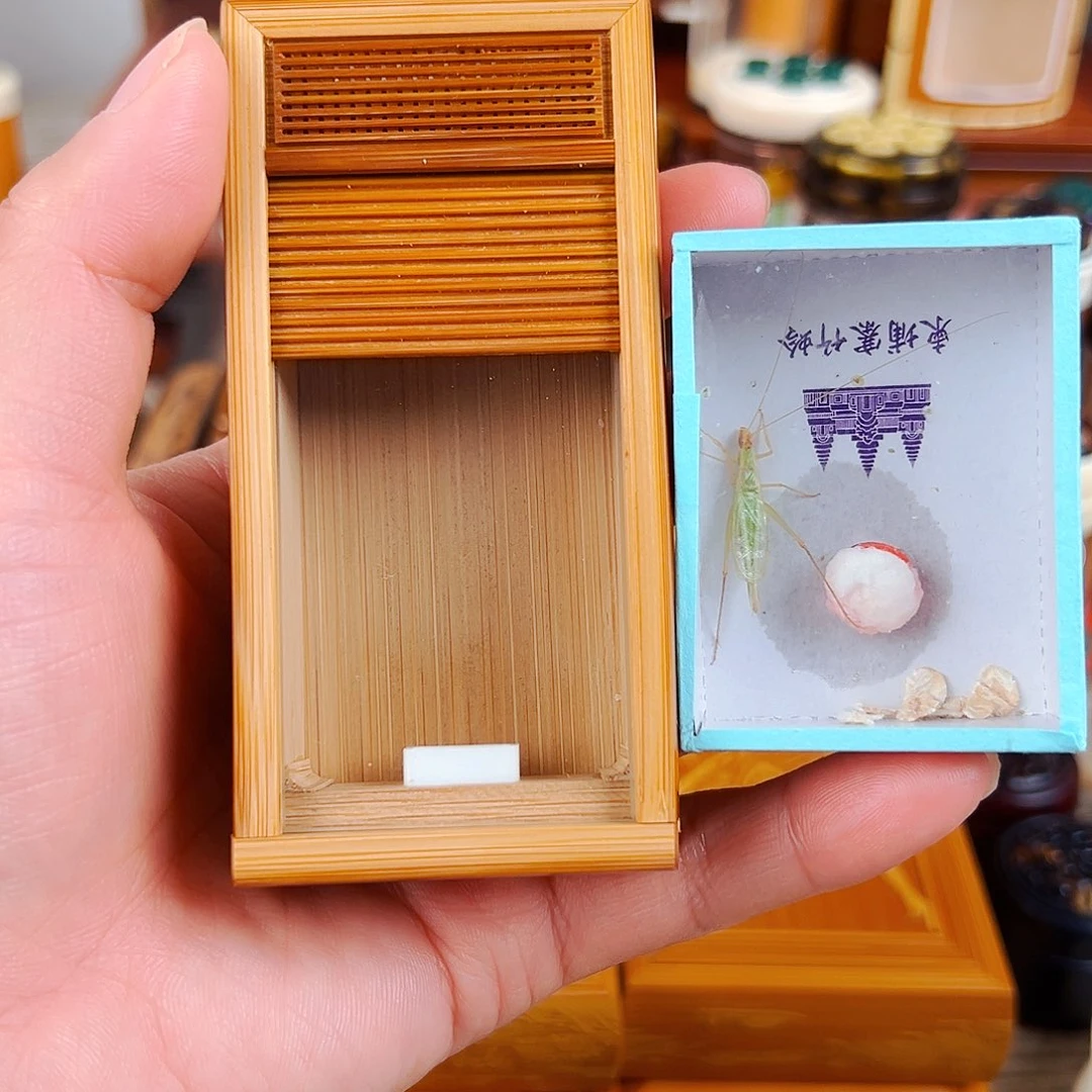 竹福利款老竹卷帘门单格竹林金钟盒➕竹蛉