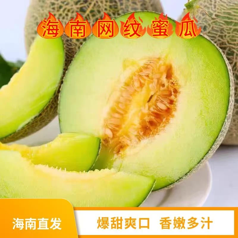 海南玫珑瓜冰淇淋口感正宗网纹甜瓜新鲜当季香瓜哈密瓜奶香