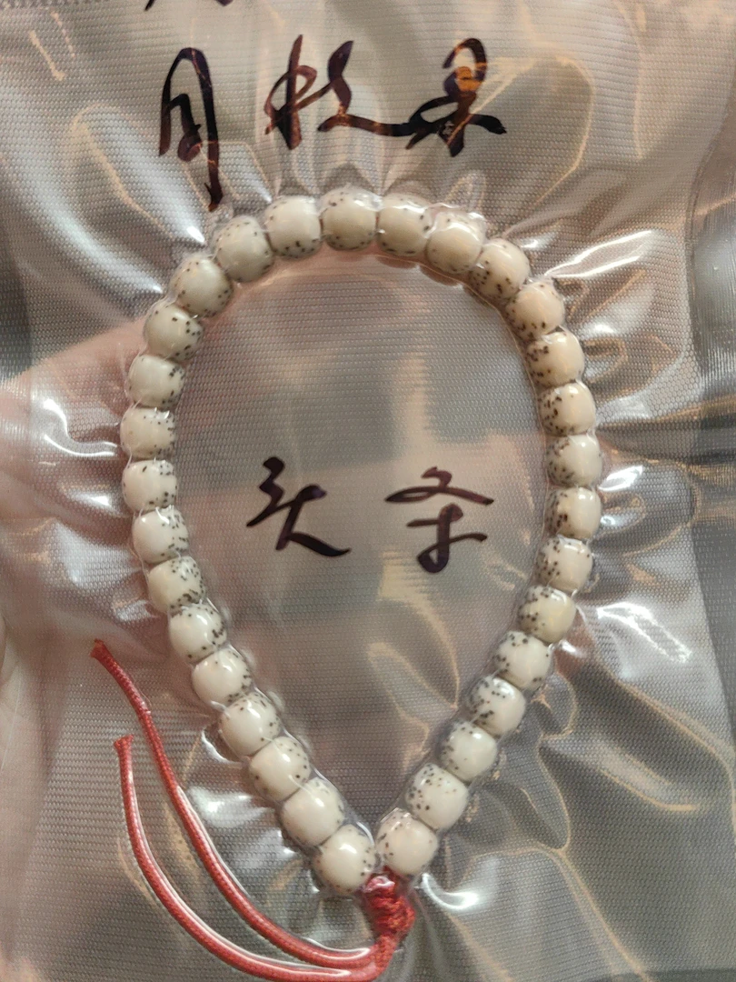 星月菩提手持河豚