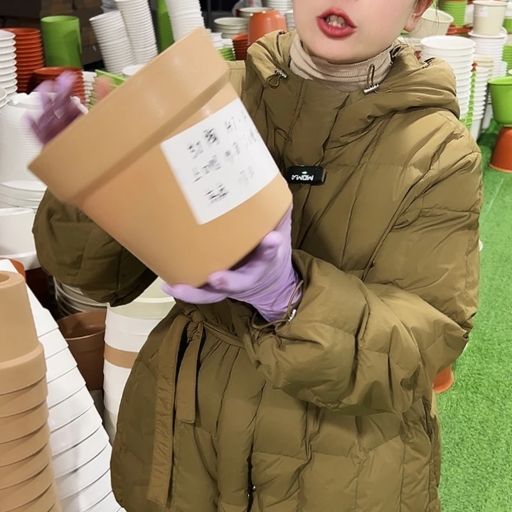 正品红陶口19.8高17.3卡其色6只无托