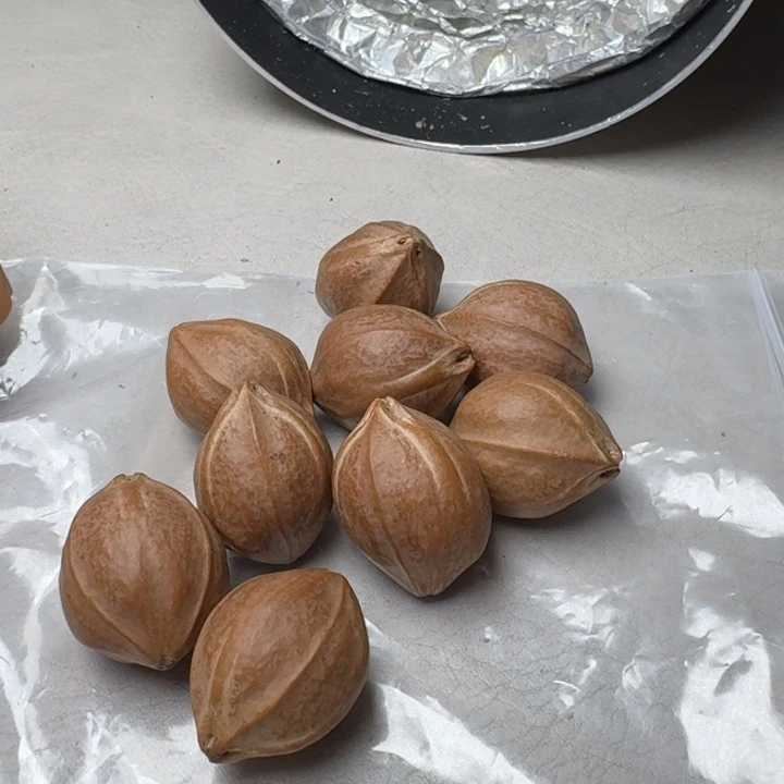 港***湾手串/手链橄榄核橄榄核2.1