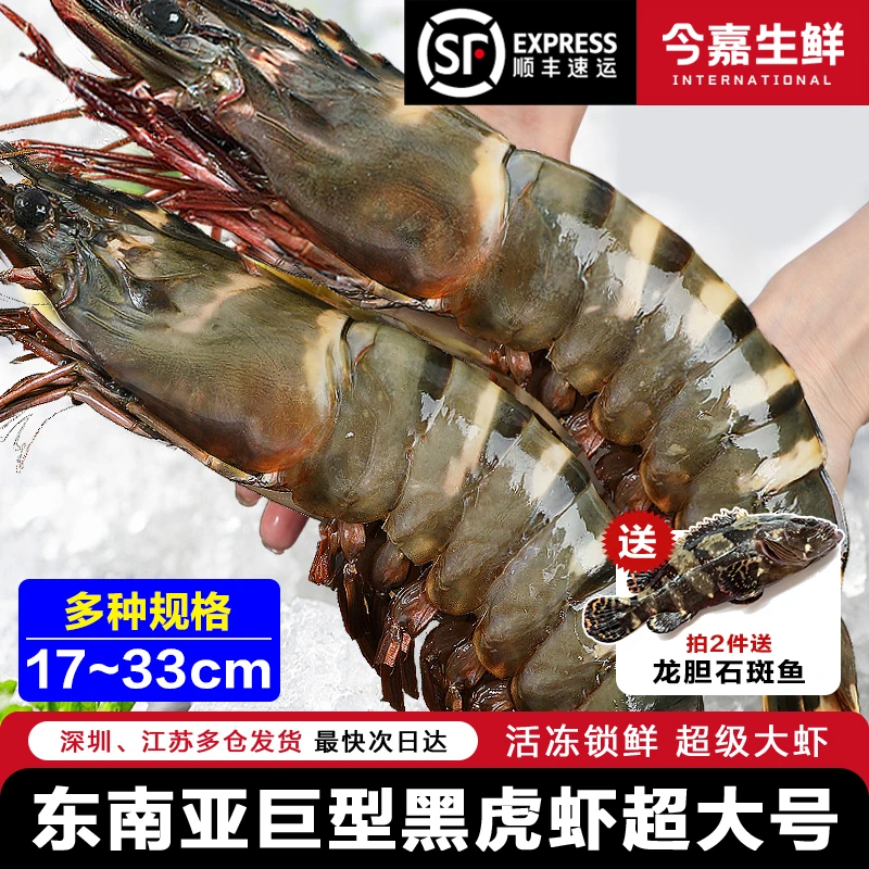 今嘉东南亚新鲜活冻黑虎虾 进口大虾1000g 速冻生鲜 海鲜火锅美食