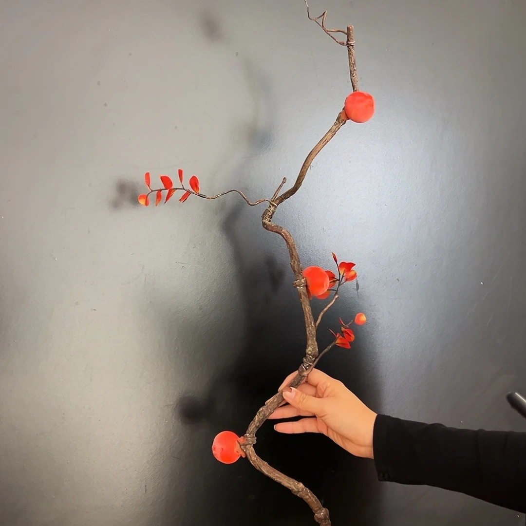 抖音直播福利一只