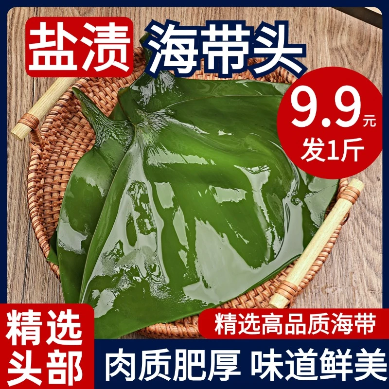 八仟藻盐渍海带头500g肉质肥厚无沙无泥海带头煲汤火锅凉拌