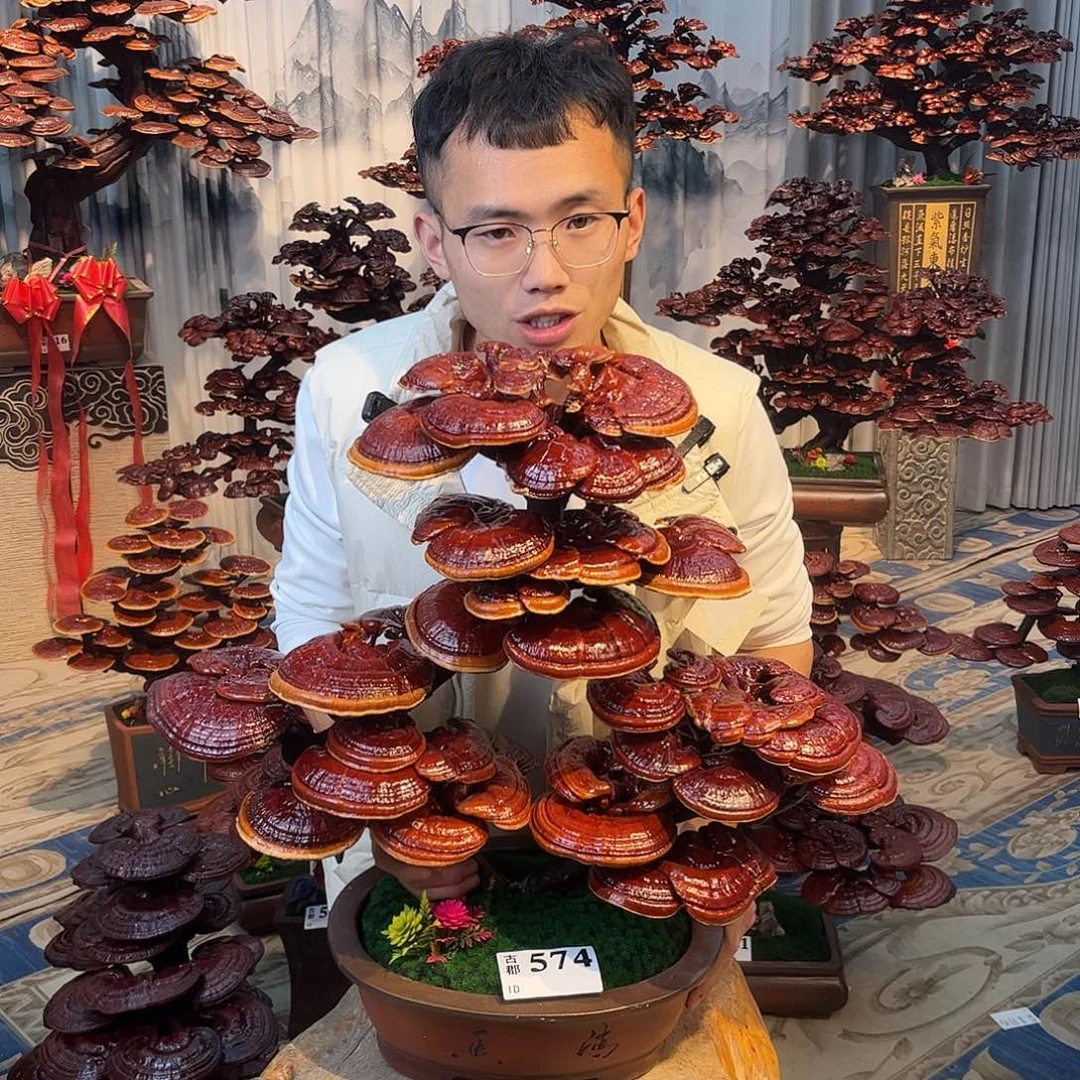 Y***调无花朵、8888888888