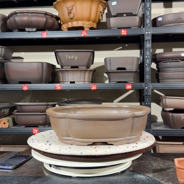 紫砂花盆呜呜我的宝