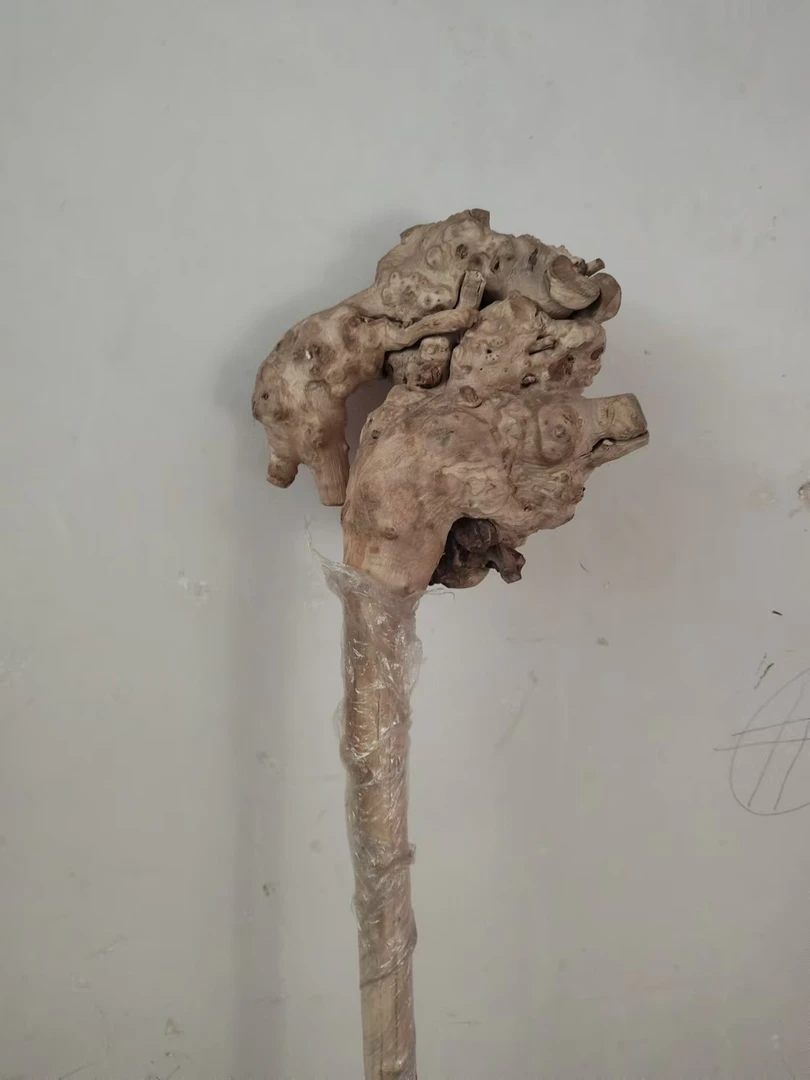 降龙木，六道木六道木。拐杖，登山杖