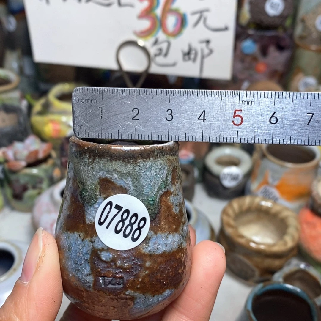 花盆拍5送一个小礼物