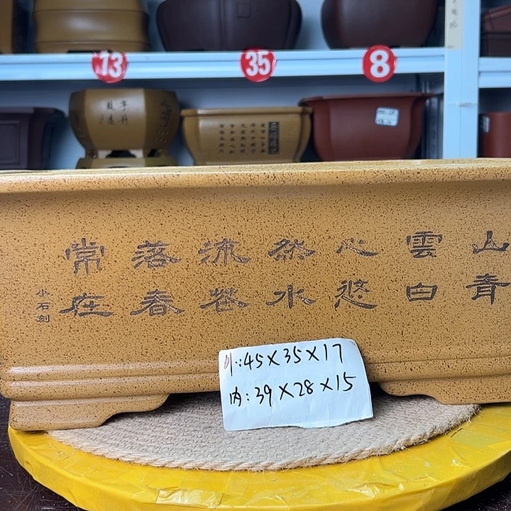 紫砂花盆蛇年大吉