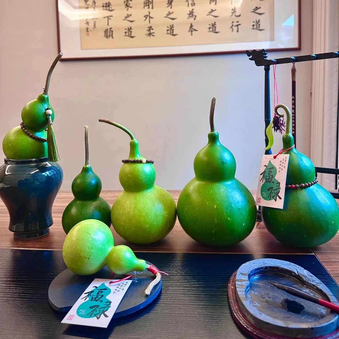 观赏装饰寓意吉祥好运新鲜葫芦天然绿皮青皮刮皮好养花期长宝石