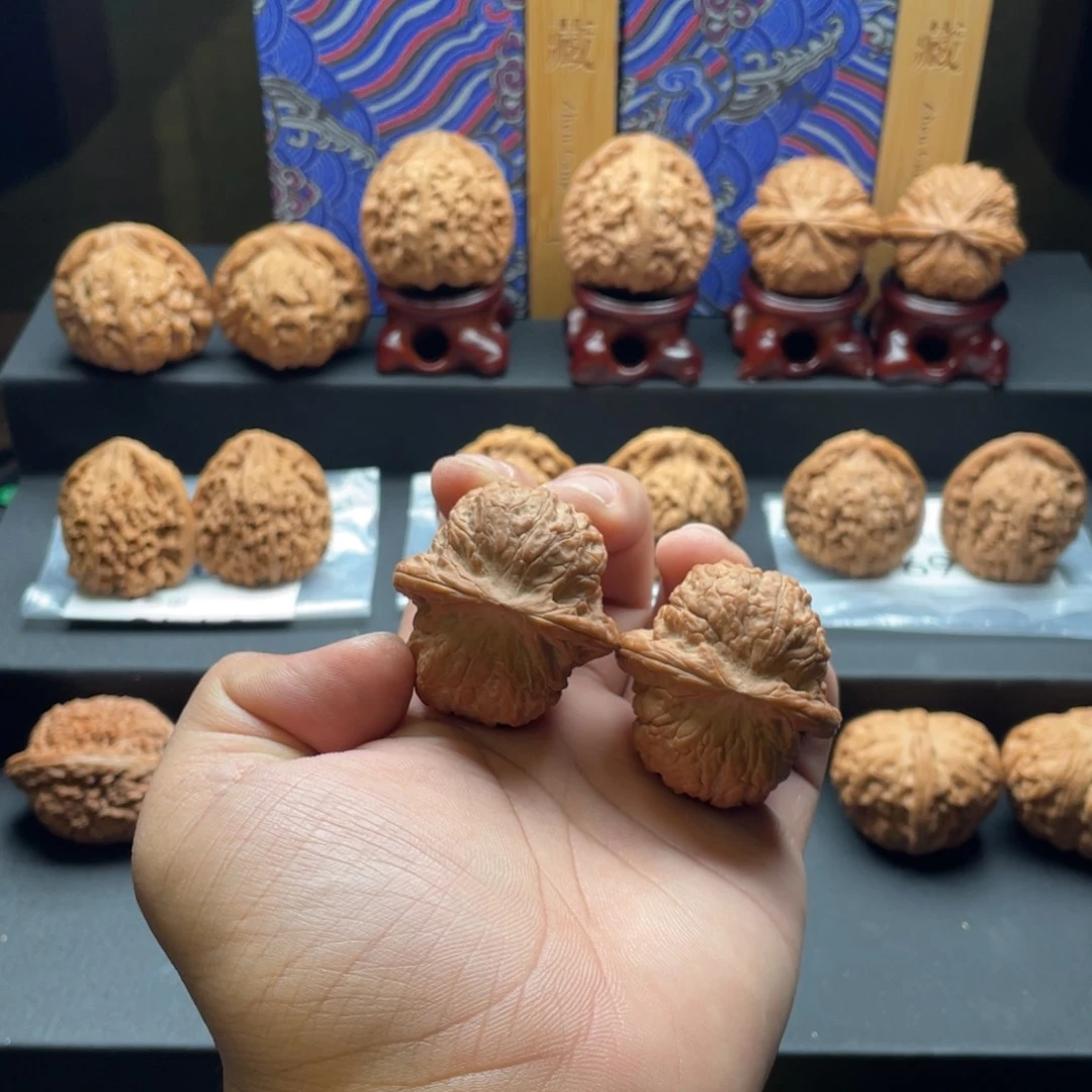 *****全品无修血麒麟40尺