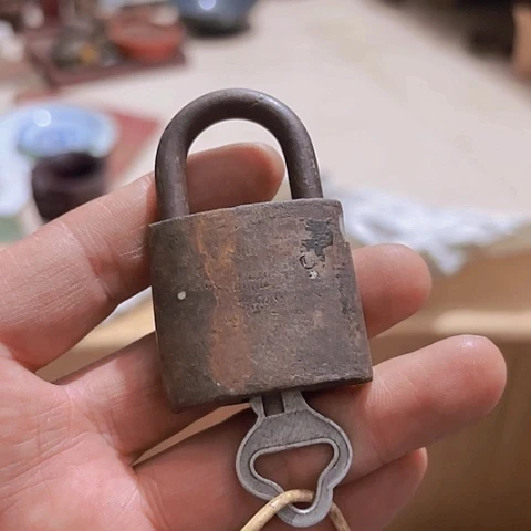 香榧木@*城Fhjggbvfgccvc