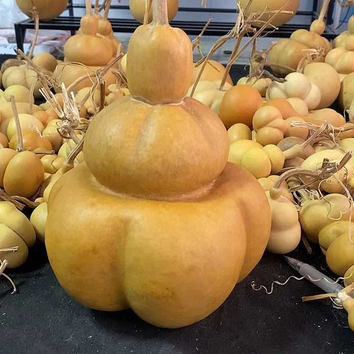 富**作葫芦的颜色是蓝色的