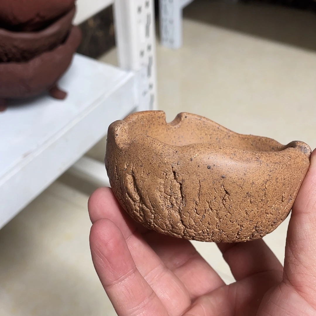 蓝***仔紫砂小盆6cmmmmmm