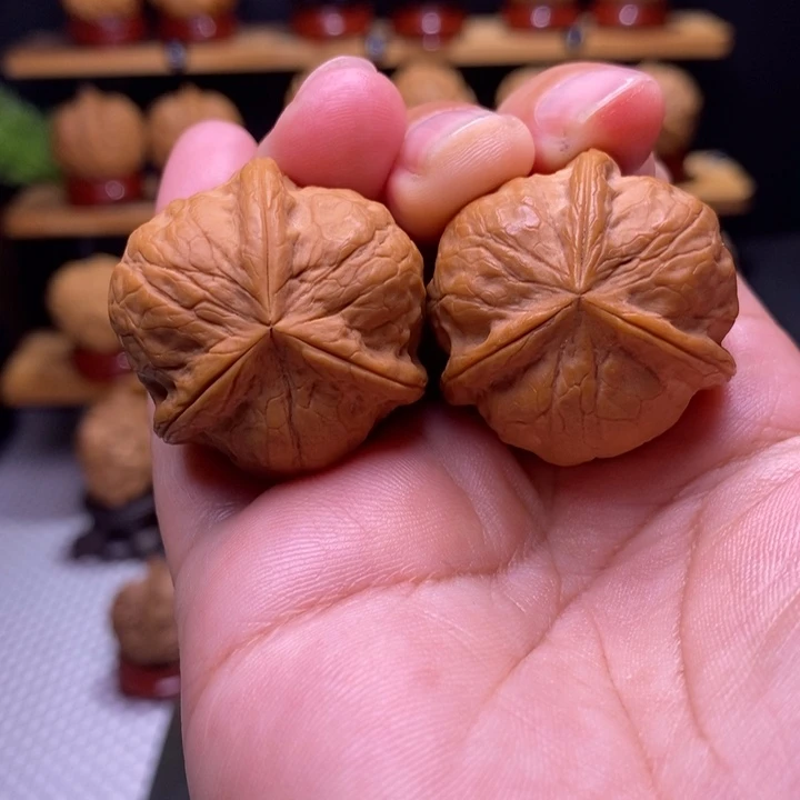 核桃云铁 甲壳虫三棱8号