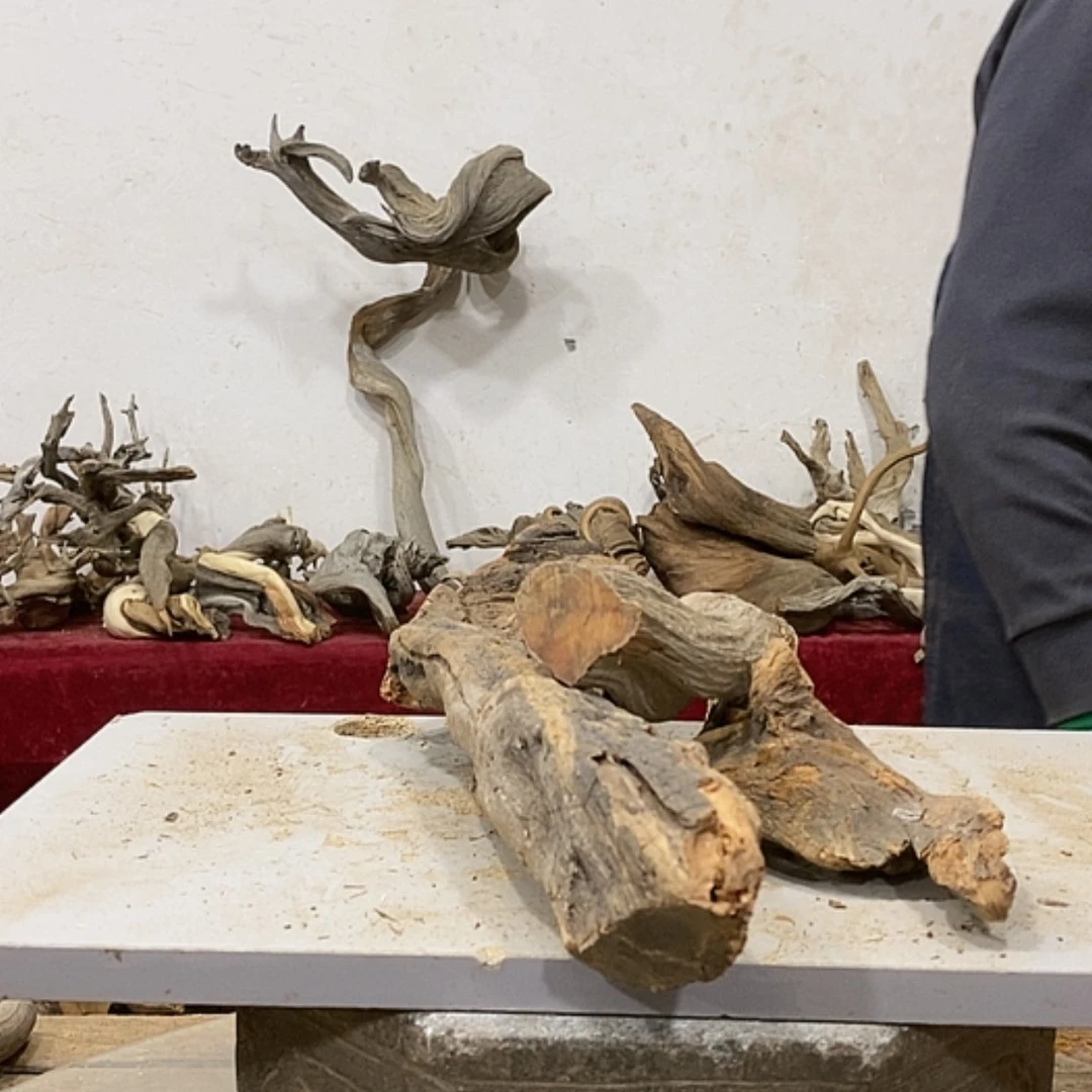 【闪购商品】柏木木****店我们都是好孩子