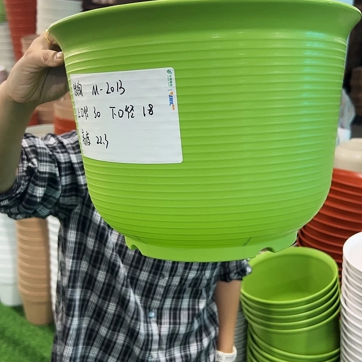 正品矮陶口30高22果绿无托5只