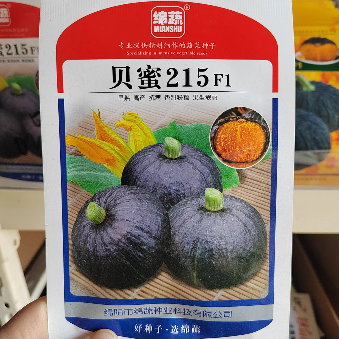 南瓜种子粉面糯香甜南瓜癞子南瓜种籽特色南瓜春季蔬菜种子