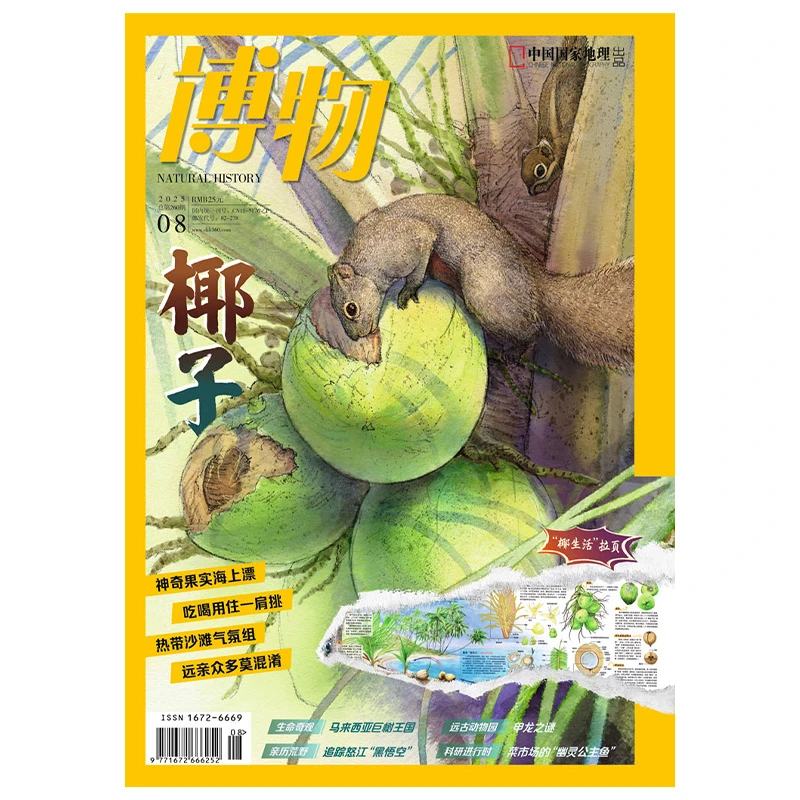 中国国家地理博物杂志椰子主题25年8月课外阅读科普探索百科全书