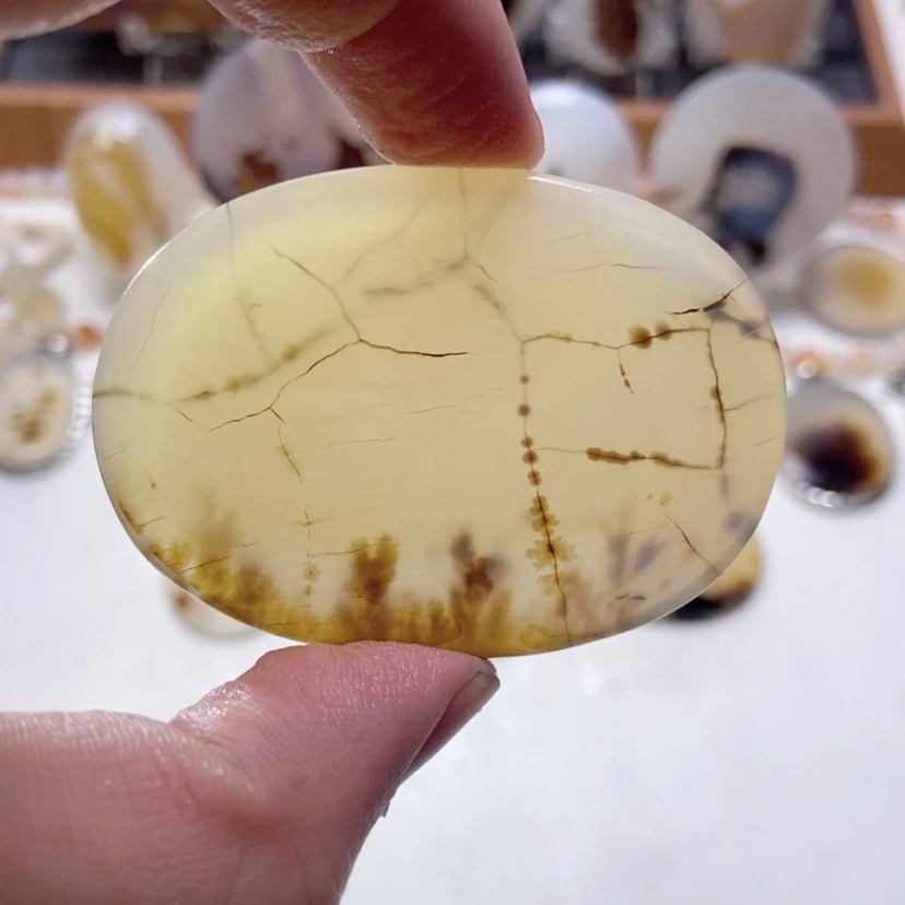 【闪购商品】玛瑙/玉髓颈饰未镶嵌