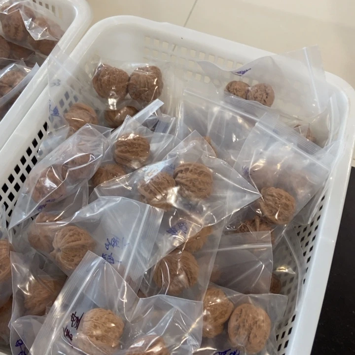 吊坠文玩核桃磨盘瑕疵