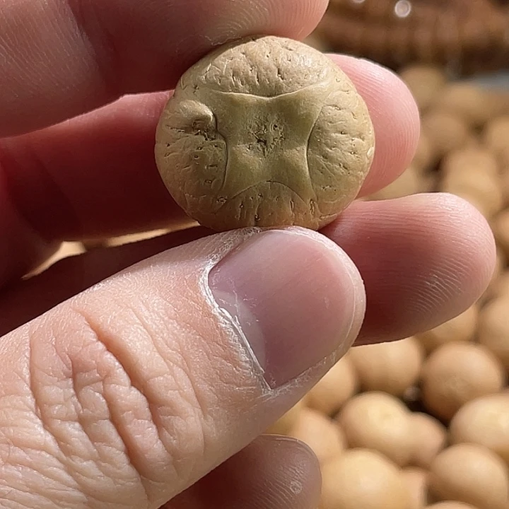 凤眼菩提手串尼泊尔小凤眼