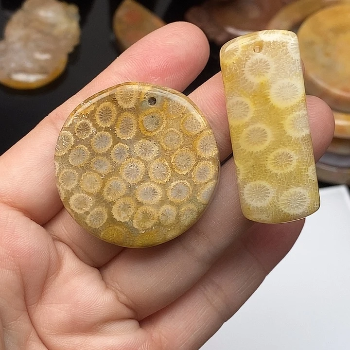 硅化玉未镶嵌颈饰