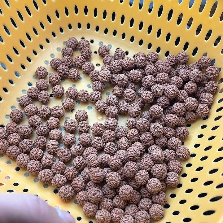 金刚菩提手串山*1好评