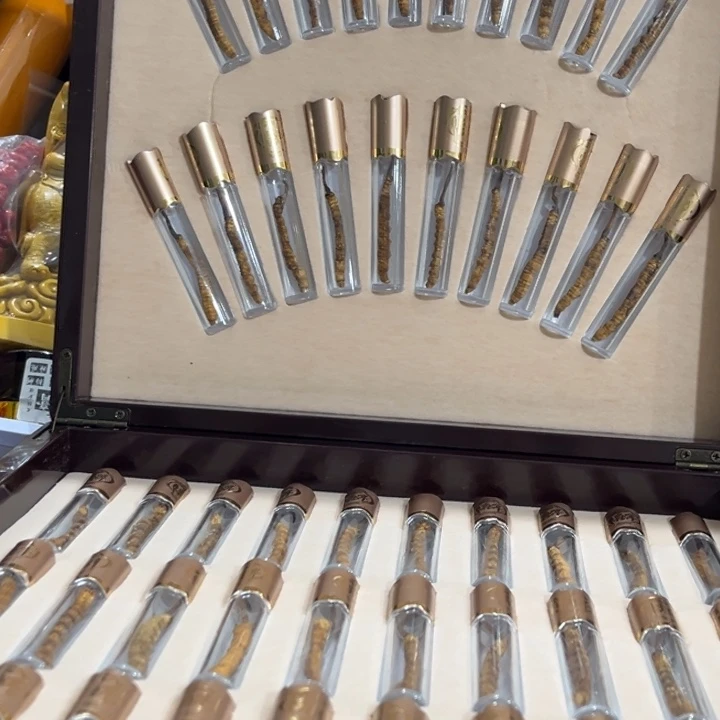 紫砂————————————————————