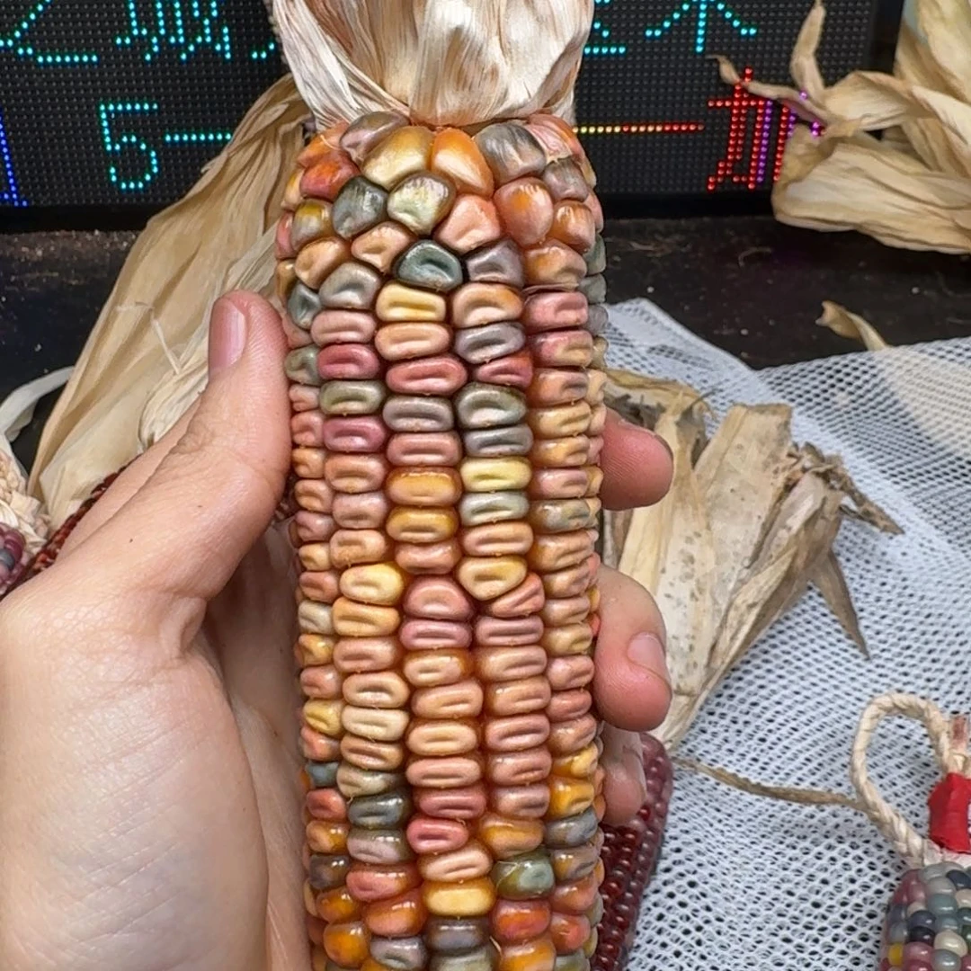 柏香籽/百香籽吊坠璐*