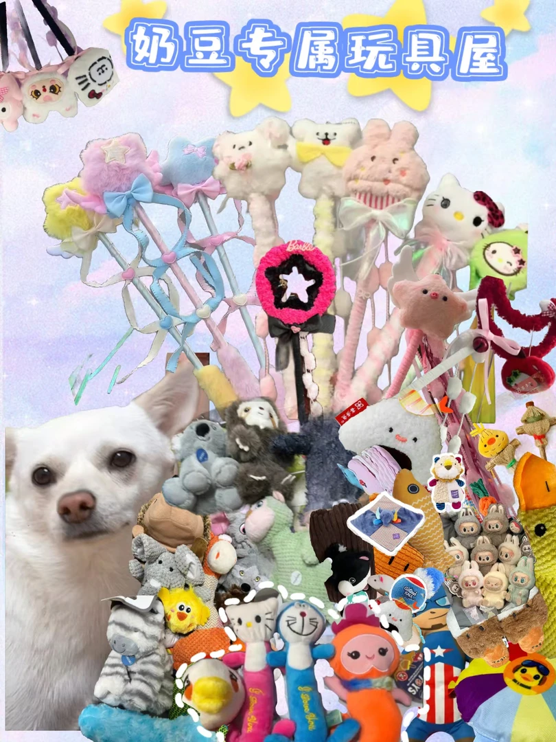 直播间-自选宠物玩具好玩猫狗通玩工厂尾货处理 no 退 no 换