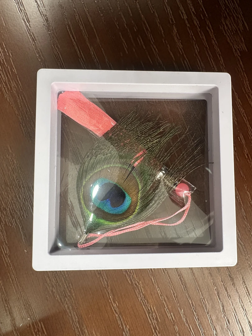 孔雀羽毛手工艺品（书签）