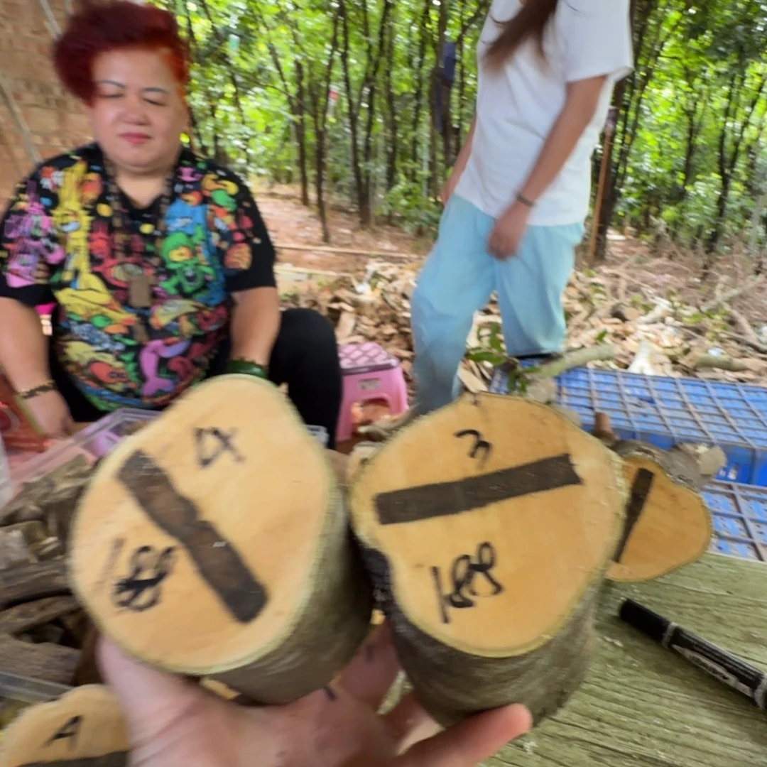 线香奇楠沉香原木