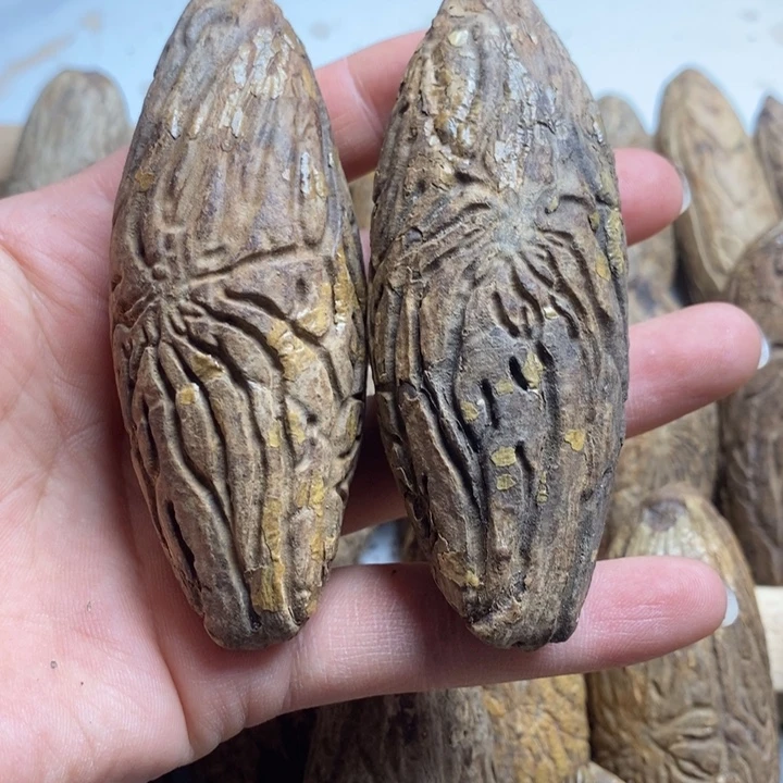 *****吊坠千眼菩提菩提