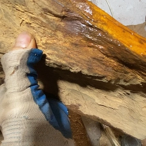 贡木手串伊*一个人在外面玩了两个月了吧