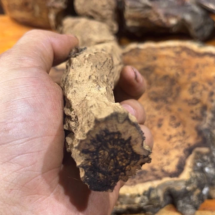 蓝***、我也是一　我也不知道我