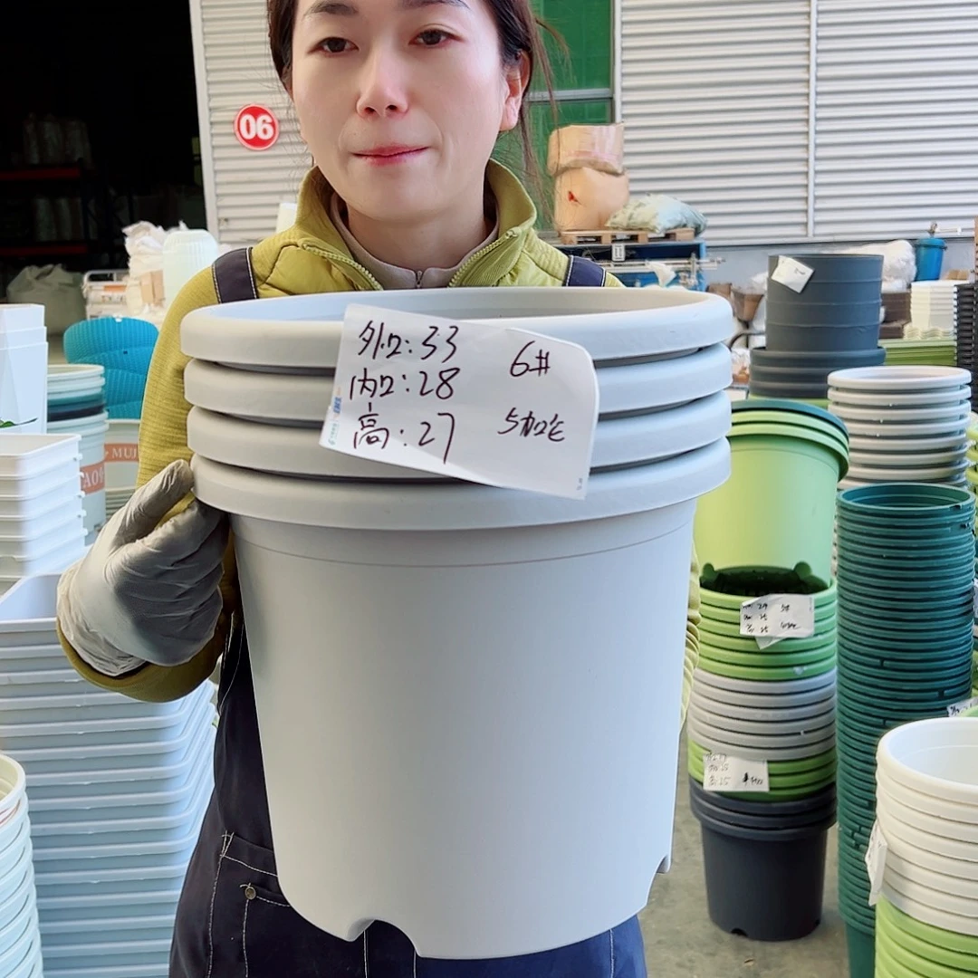 四季盆6#灰白5个无托