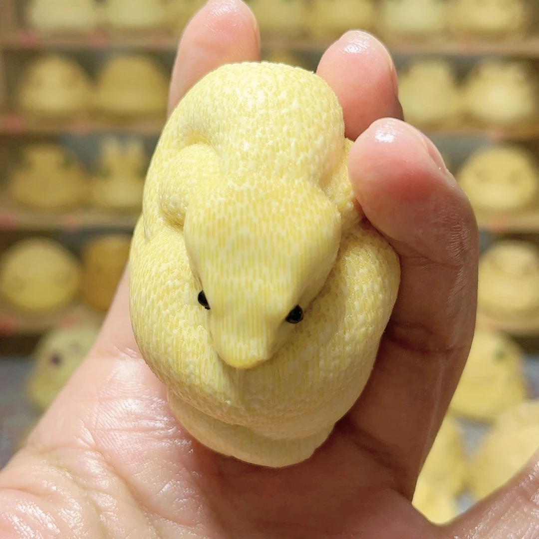 竹黄金蟒一个带油