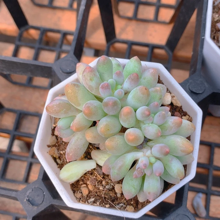 婴儿手指。