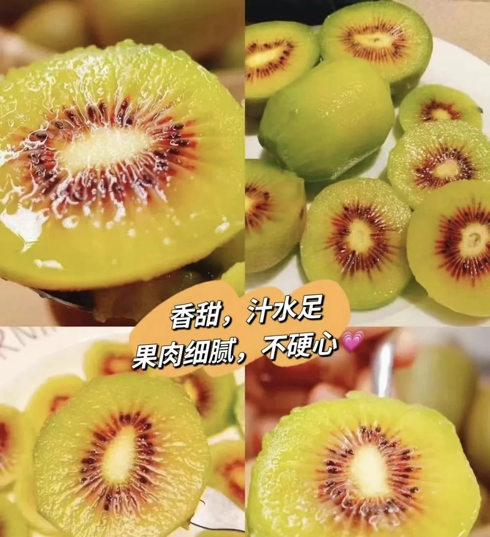 苍溪红心猕猴桃自家果园批发暴风圈40