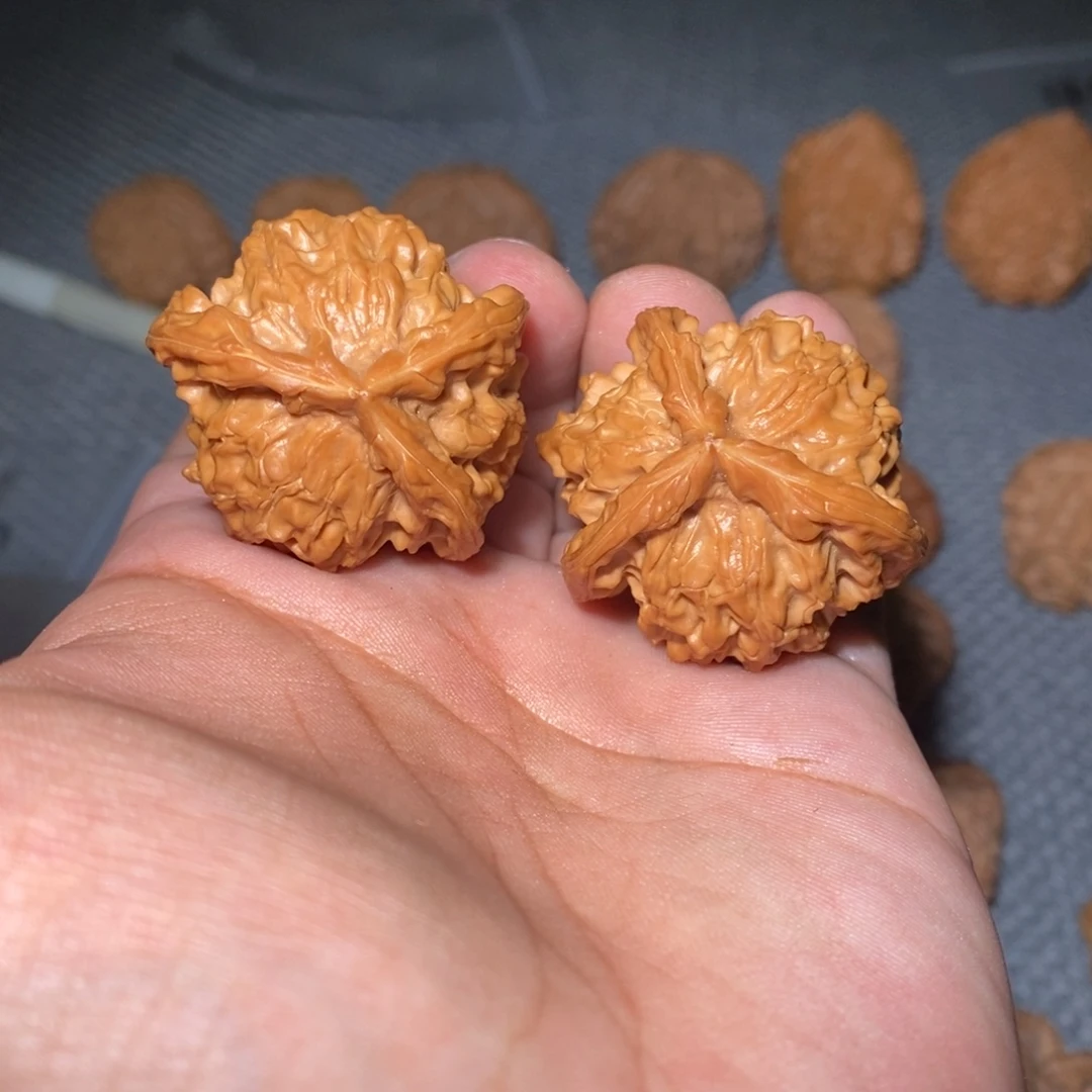 盘山羊头奔。