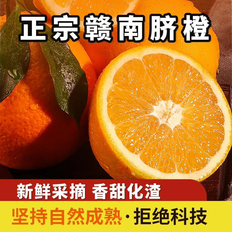 正宗江西赣州脐橙大果10斤