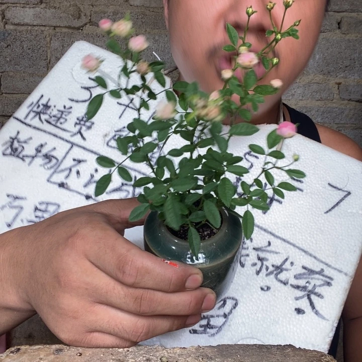 退款拉黑一物一拍55