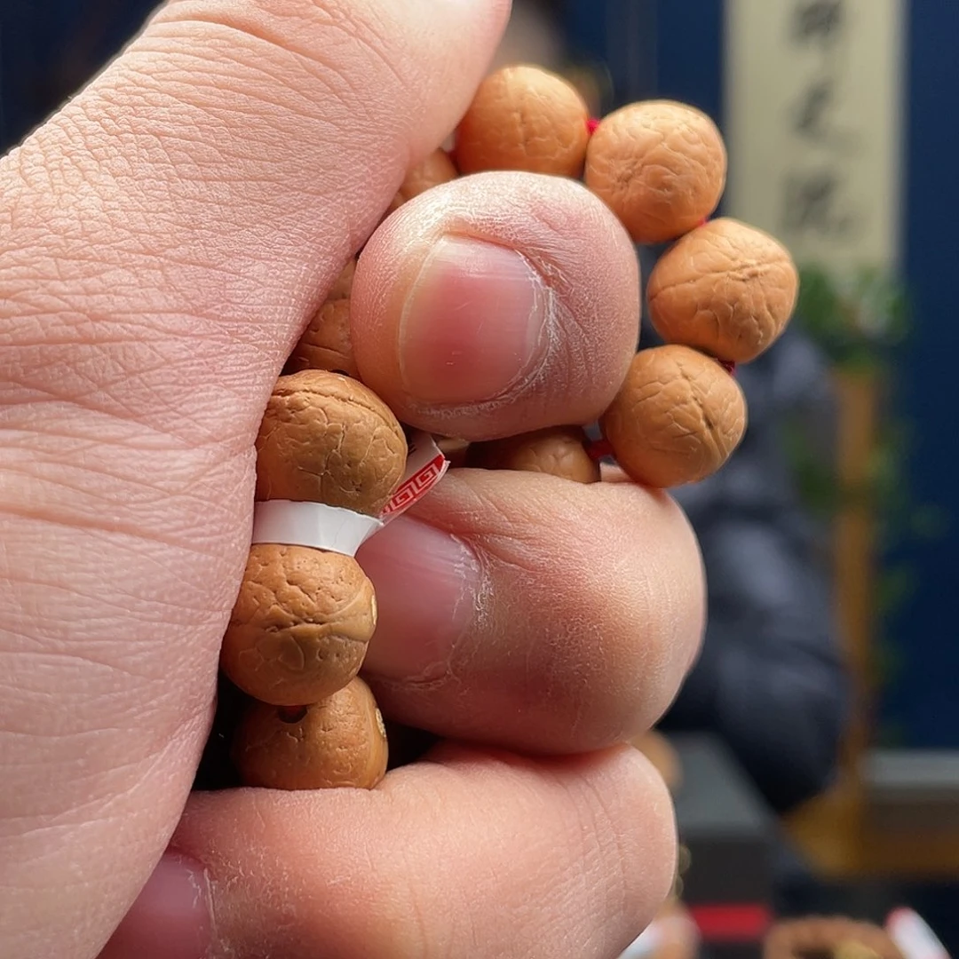 凤眼菩提吊坠睡**觉菩提27