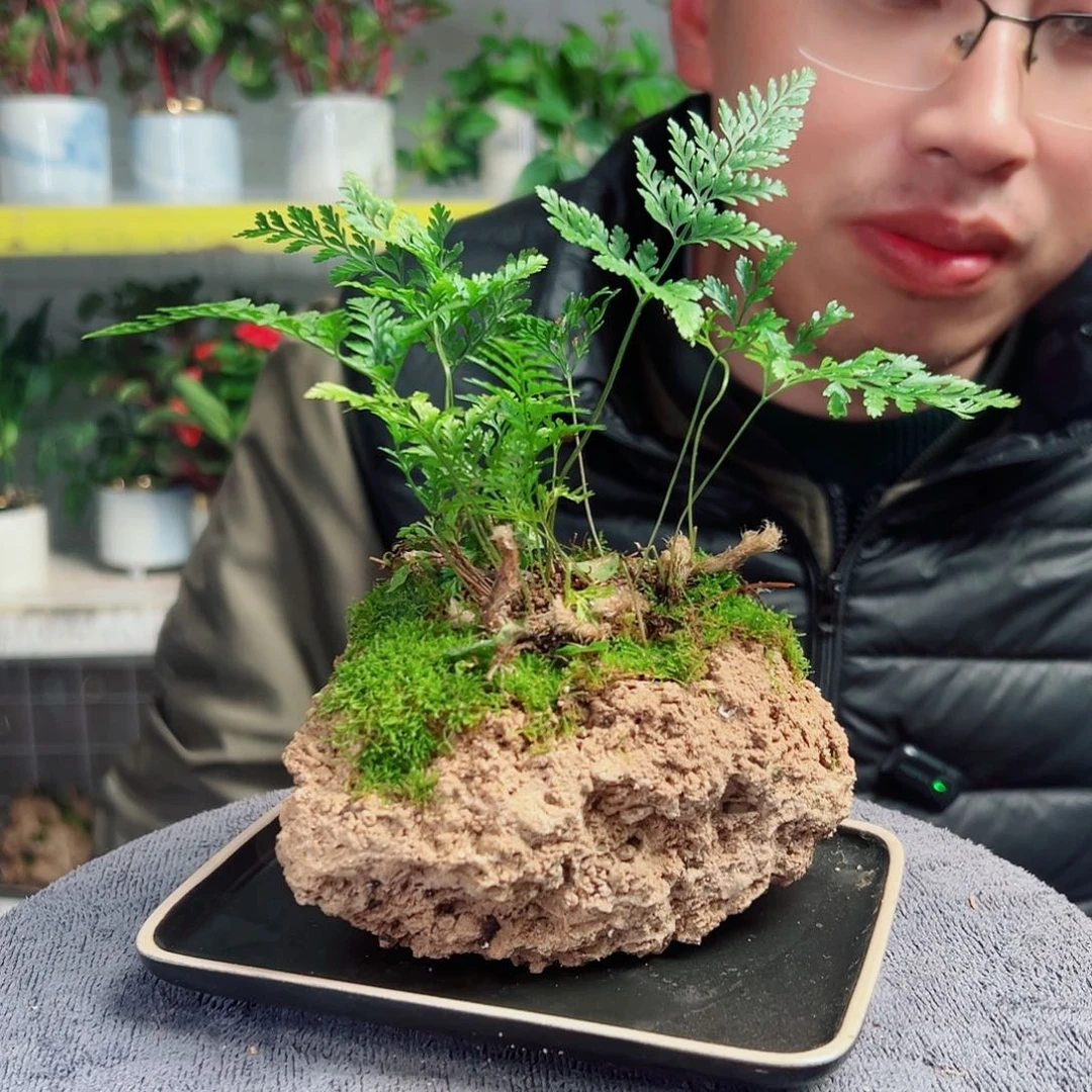 是***！无花朵12