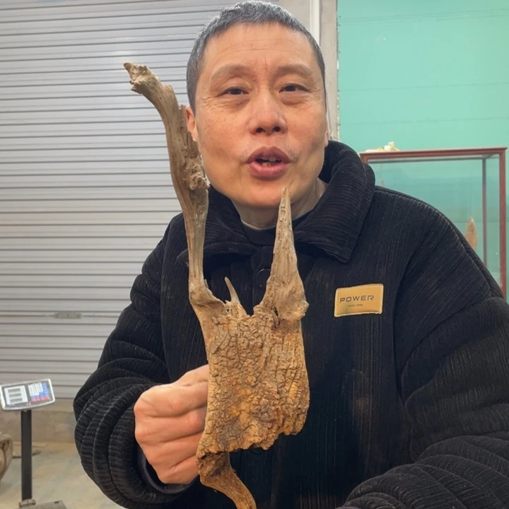 用****3我们都是好孩子呀