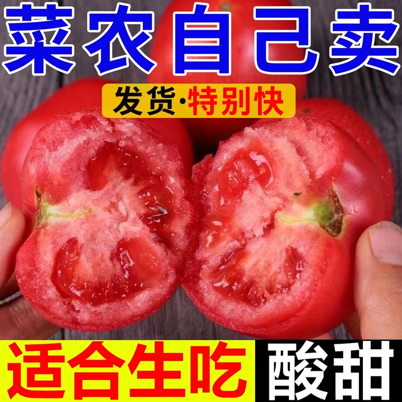 广西西红柿自然新鲜番茄露天正宗水果成熟整箱包邮