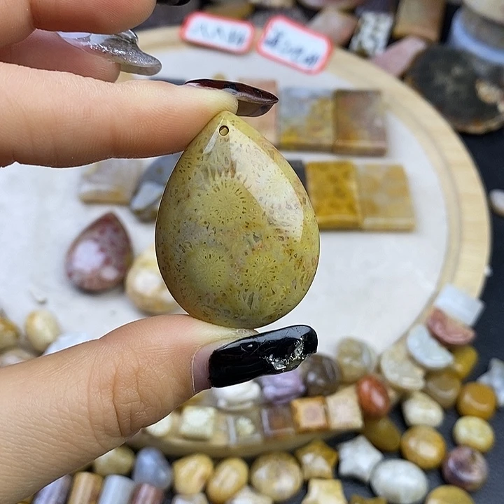 针钠钙石（海纹石）未镶嵌颈饰11