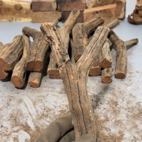 大果紫檀（缅甸花梨）老*鱼