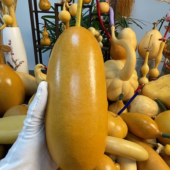 ****有藤手把葫芦精品系列1